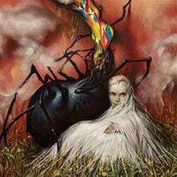 Circa Survive : Appendage